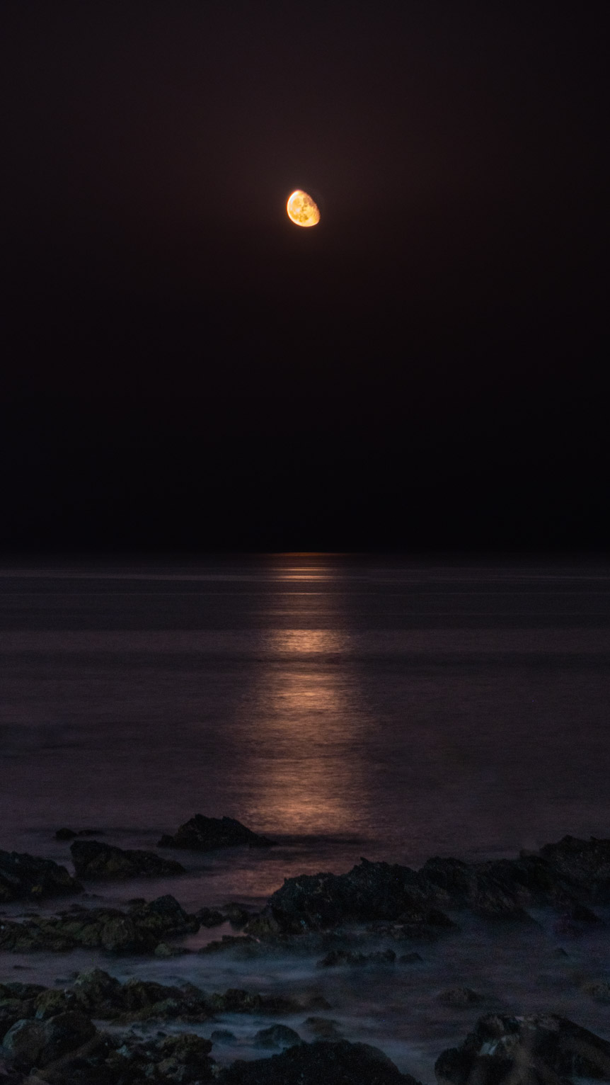 A gibbous moon rises over the sea, it's orangy light is reflected, water swishes among the rocks